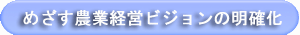 めざす農業経営ビジョンの明確化